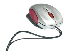 mouse